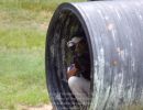 aleais s paintball outing 7 4 24  