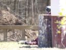 andy s paintball outing 5.6  