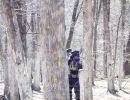 andy s paintball outing 5.6  