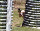 andy s paintball outing 5.6  