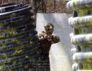 andy s paintball outing 5.6  