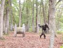 andy s relaxing paintball outing 6 28 24  