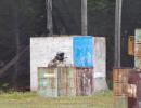 andy s relaxing paintball outing 6 28 24  