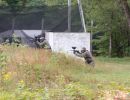 andy s relaxing paintball outing 6 28 24  