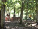 131