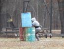 benzing bachelor party 3 16 24  
