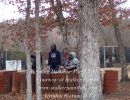 benzing bachelor party 3 16 24  