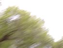 128