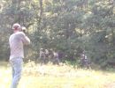 bulldog s bachelor party  8 2 25  