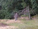 cam s bachelor party  8 23 25  