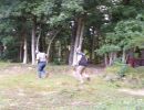 cam s bachelor party  8 23 25  