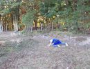 connor s bachelor party  10 11 25  