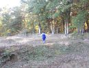 connor s bachelor party  10 11 25  
