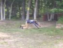 cousin joey s bachelor party  6.7  