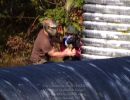 cru s birthday party  10 5 25  