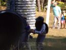cru s birthday party  10 5 25  
