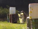 dakota s bachelor party  7 19 25  