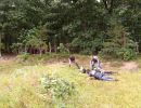 dildo bachelor party  8 16 25  