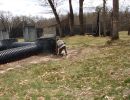 ehrick s bachelor party 4 18 26  