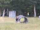 erich s bachelor party  6 20 26  