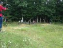 ger s bachelor party  7 12 25  
