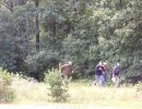 gordon s bachelor party  8 23 25  