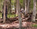 greg s funeral 7 27 24  