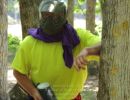 ham s bachelor party  5 31 25  