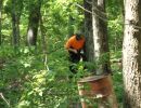 ham s bachelor party  5 31 25  