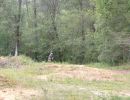 hixson s birthday bash 8 16 24  