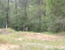 hixson s birthday bash 8 16 24  