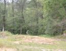hixson s birthday bash 8 16 24  