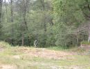 hixson s birthday bash 8 16 24  