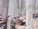 48