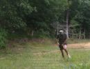 jocsan s bachelor party  7 12 25  