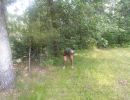 jocsan s bachelor party  7 12 25  