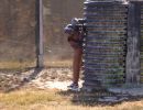 jonathan and cory s paintball outing  10 19 24  
