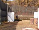 jonathan and cory s paintball outing  10 19 24  