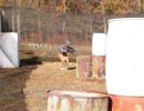 jonathan and cory s paintball outing  10 19 24  