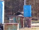 jonathan and cory s paintball outing  10 19 24  