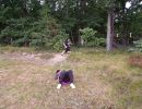 joses bachelor party  9 6 25  