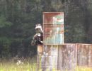 juan s paintball outing  8 1 25  