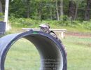 ladwig s paintball outing 7 7 24  