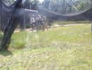 logan s bachelor party 6 21 2025  