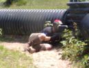 logan s bachelor party 6 2025  