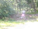 logan s bachelor party 6 21 2025  