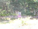 logan s bachelor party 6 21 2025  