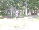logan s bachelor party 6 21 2025  