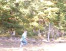 lyle s bachelor party  10 4 25  