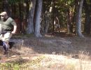 lyle s bachelor party  10 4 25  